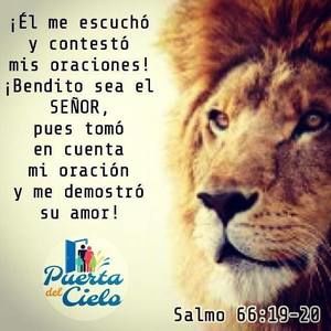 Meet your Posher, Gonzalez